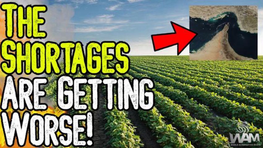 EXPOSED: THE SHORTAGES ARE GETTING WORSE! - Farmers Are Closing Shop! - Here's A Solution