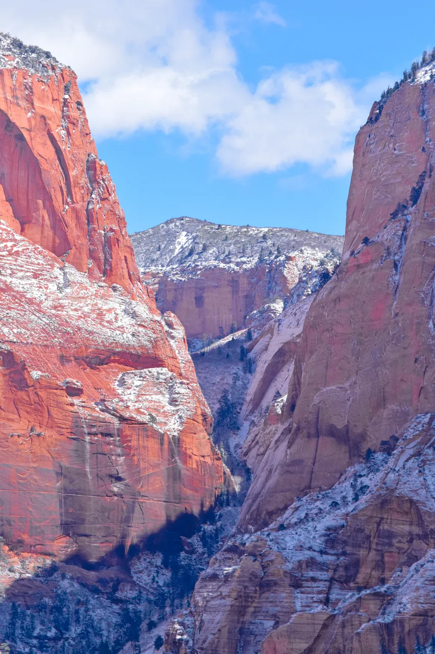 Zion Edit 2.jpg