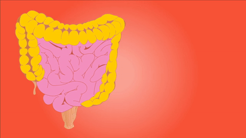 intestines1.gif