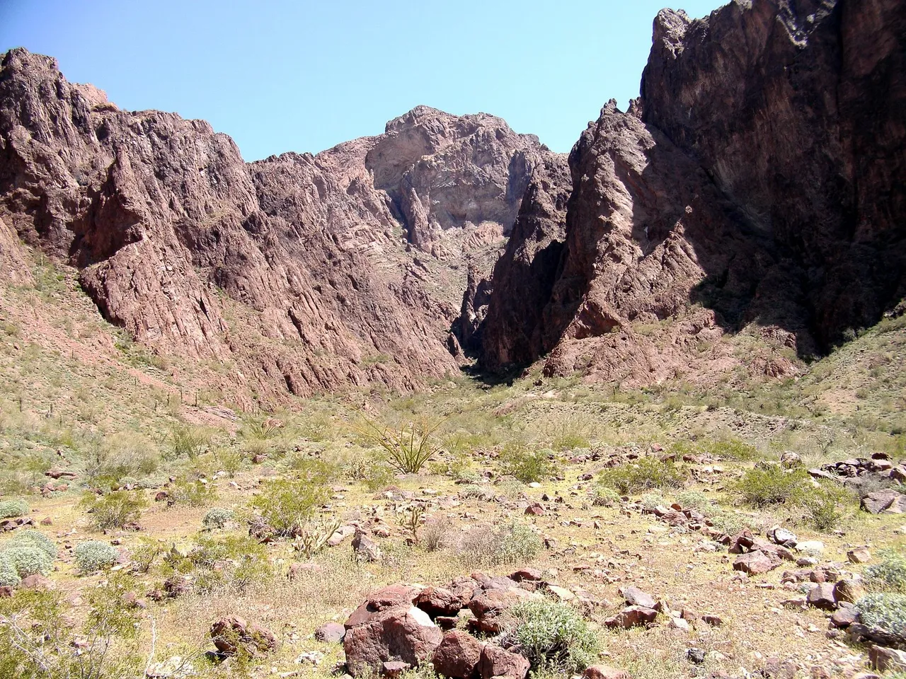 Palm Canyon.JPG