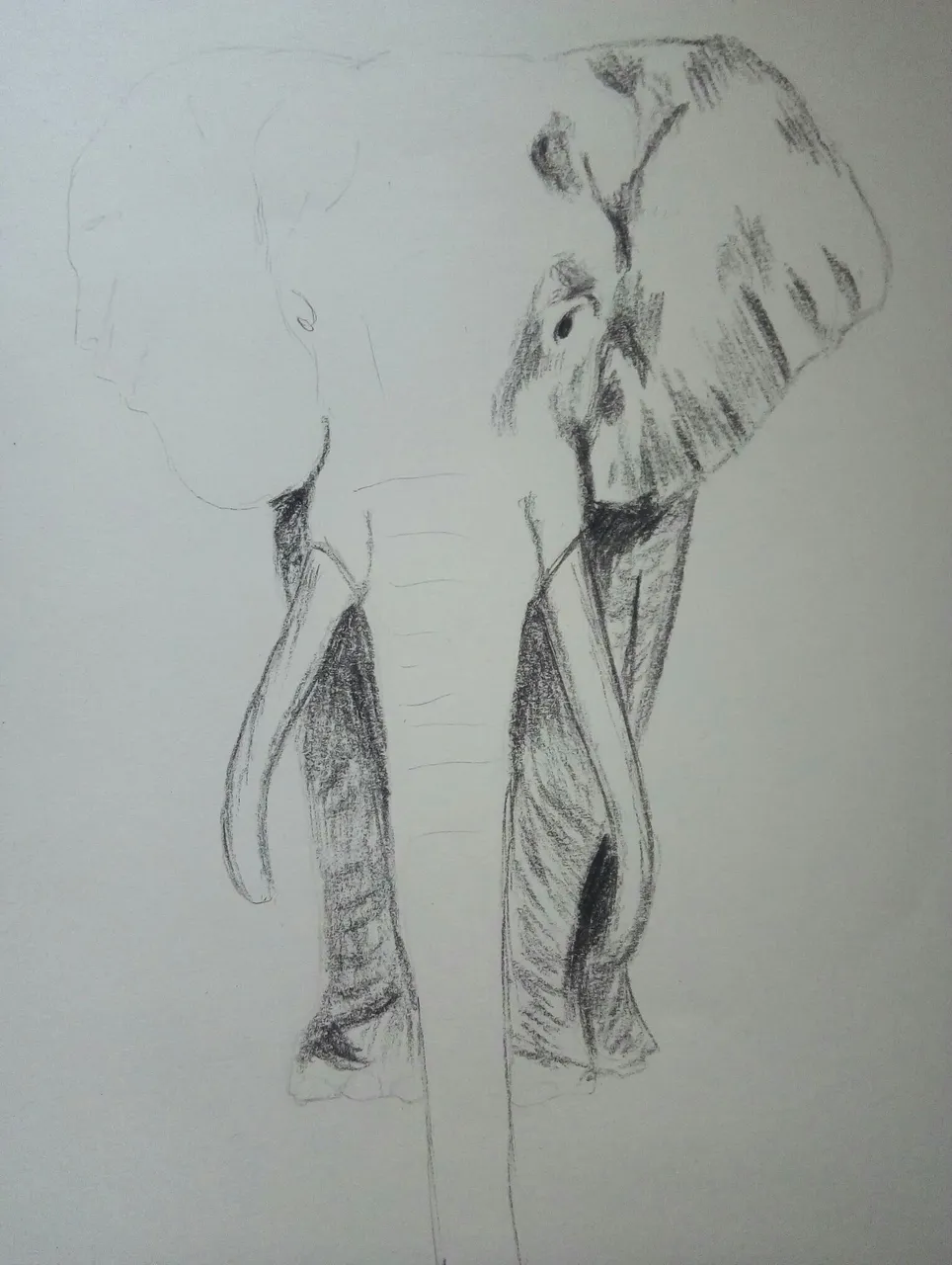 Elefante K2.jpg