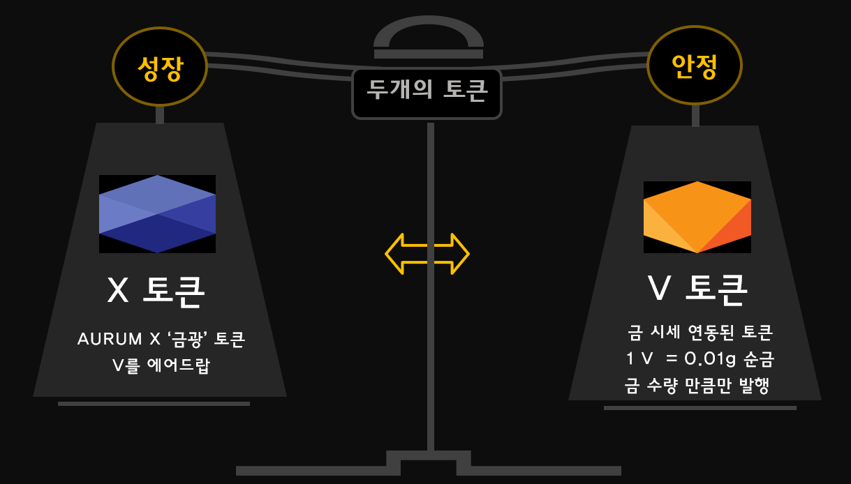 X, V 토큰.png
