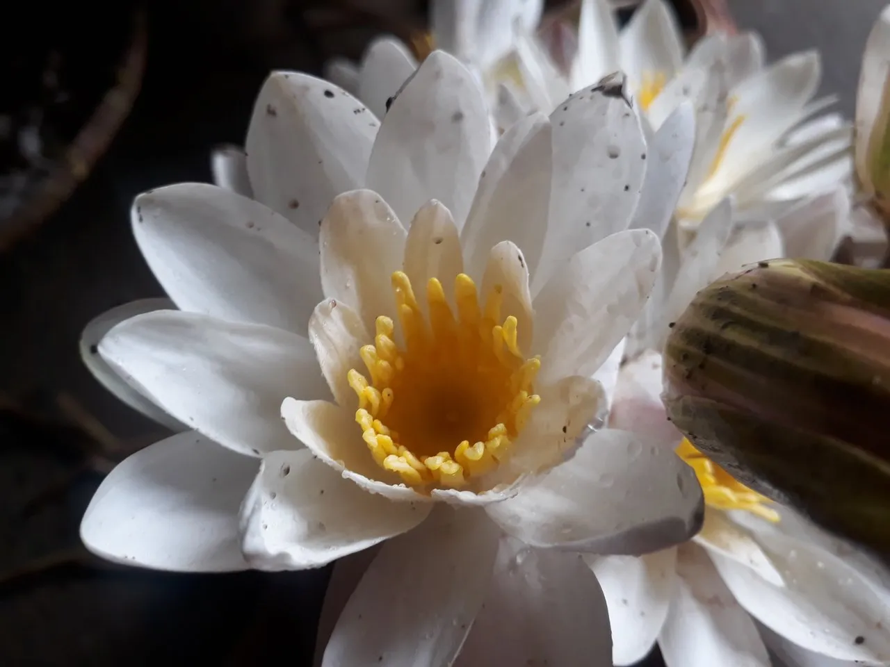 20201007_072554.jpg