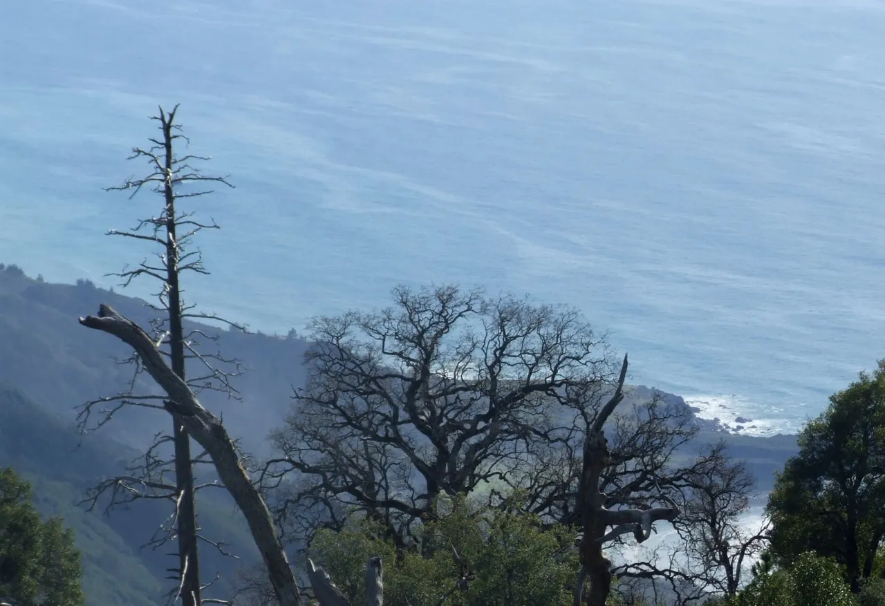 0292BigSurView1.JPG
