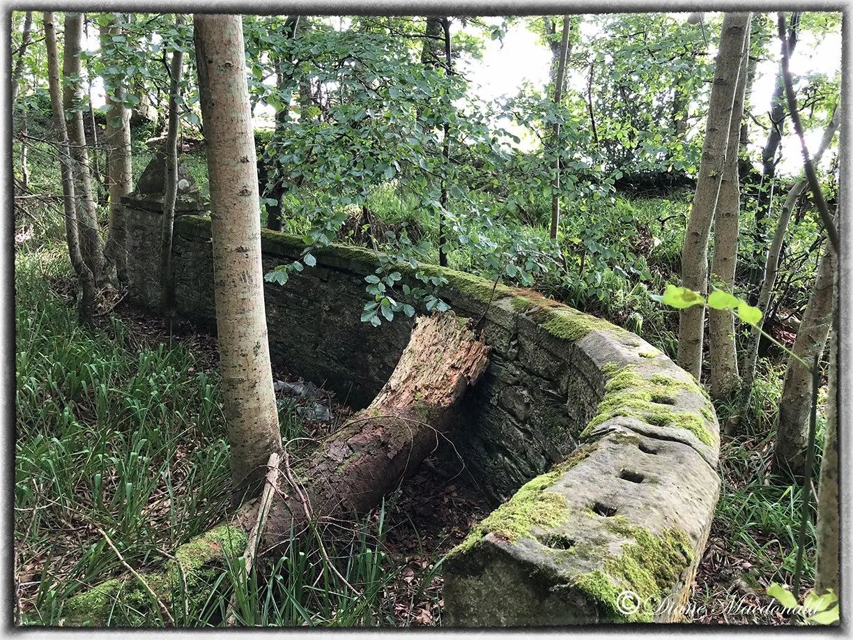 Ruined wall at Letterfurie