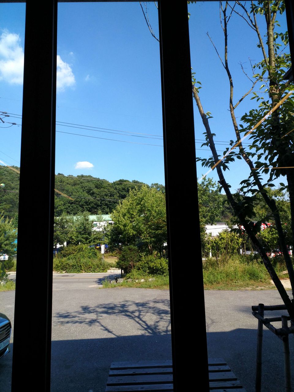 IMG_20180801_160903.jpg