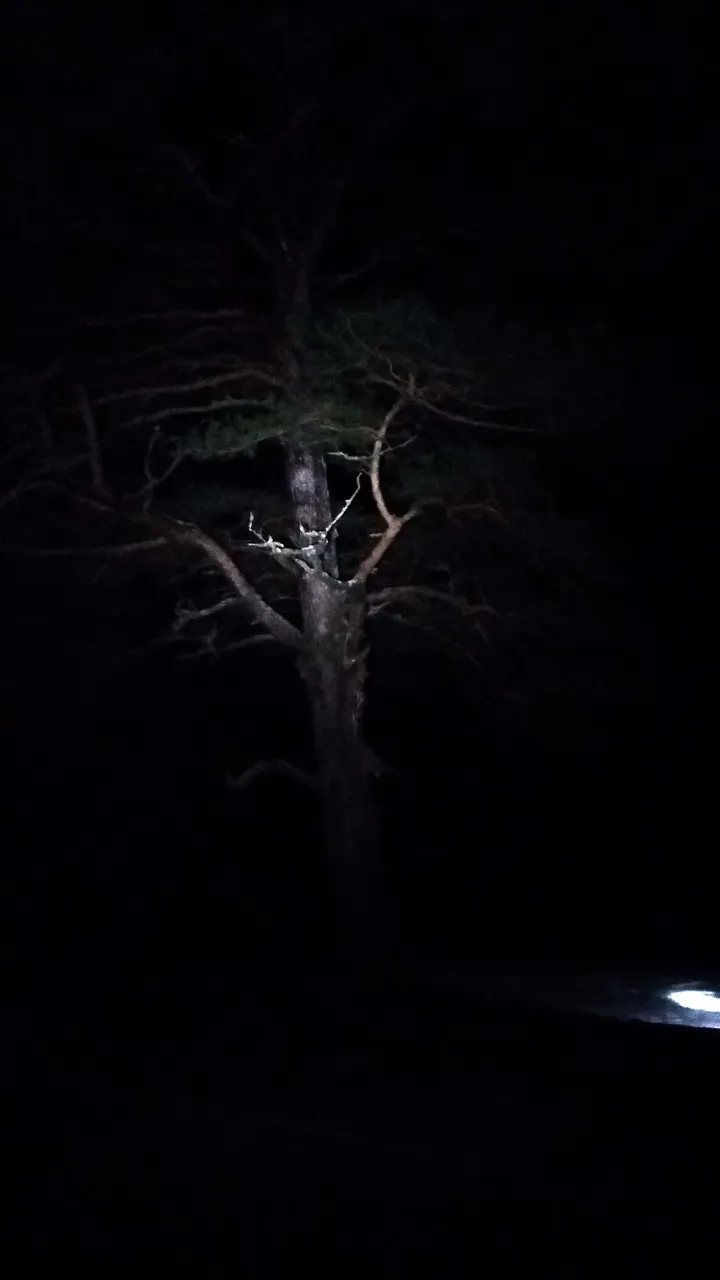 20180310_192126.jpg