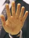six finger hand.jpg