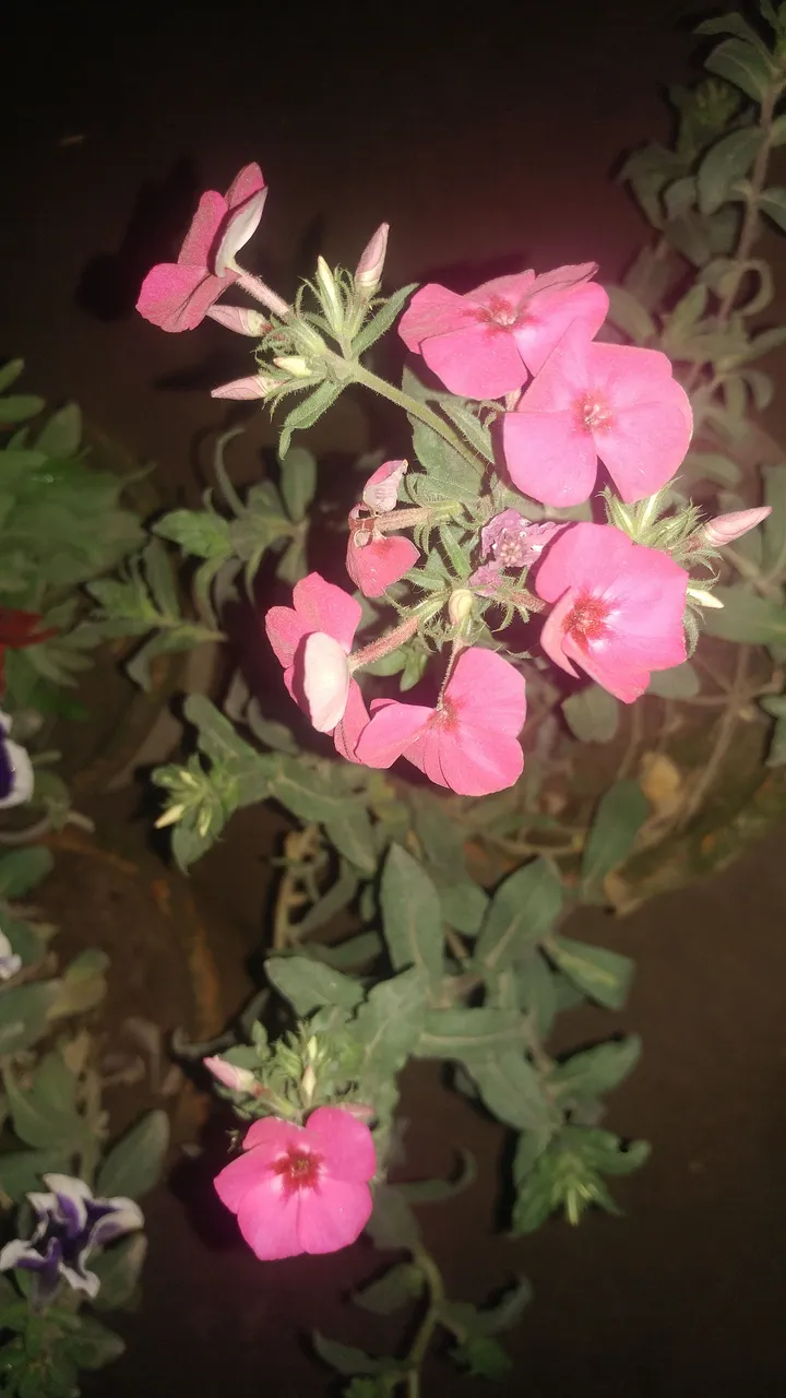 20180323_182618.jpg