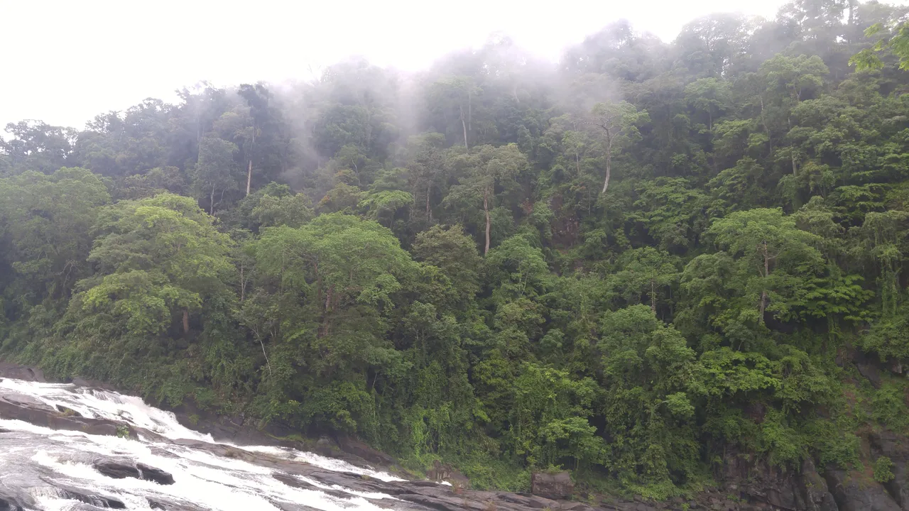 20160604_145147.jpg