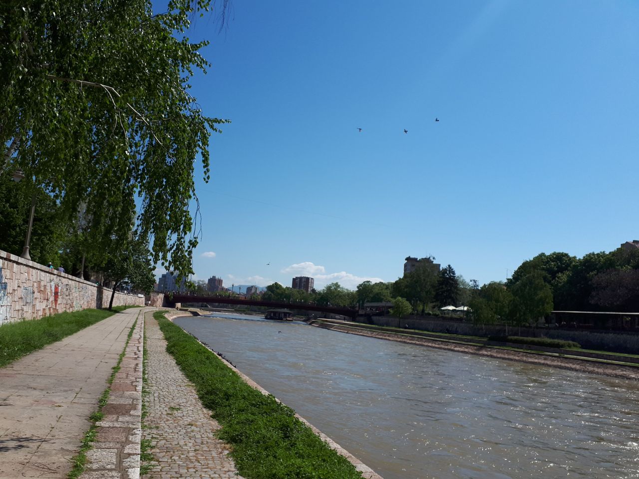 20180421_104938.jpg