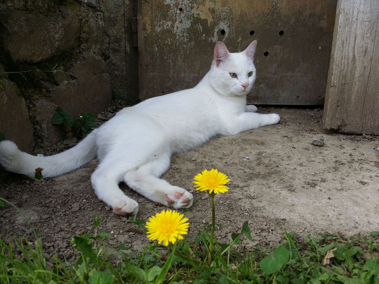 20180428_145009.jpg