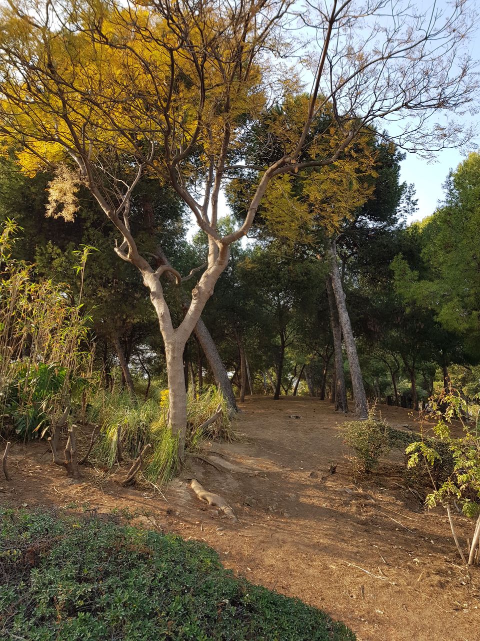 20180218_163547.jpg