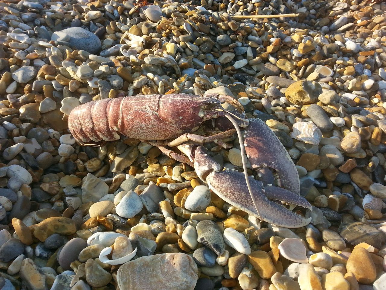 20180420_183428.jpg