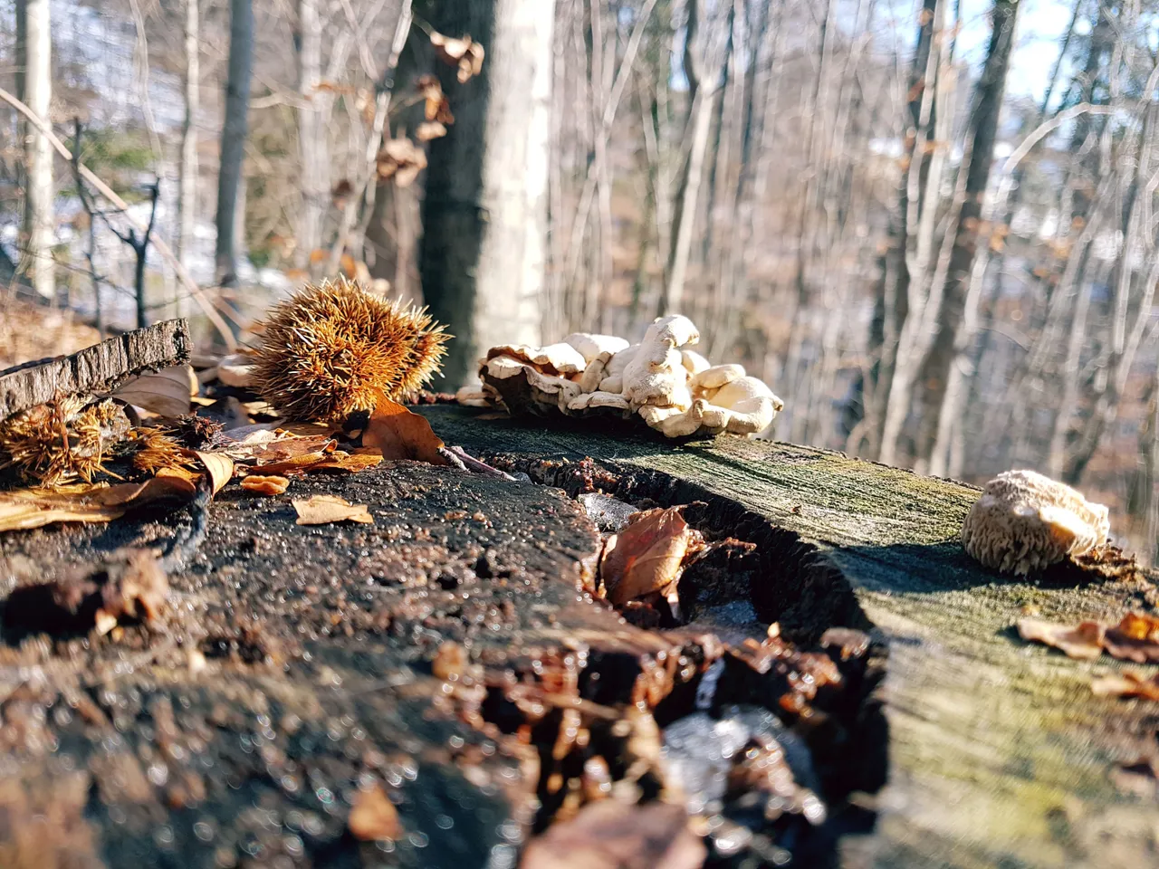 20171223_121107.jpg