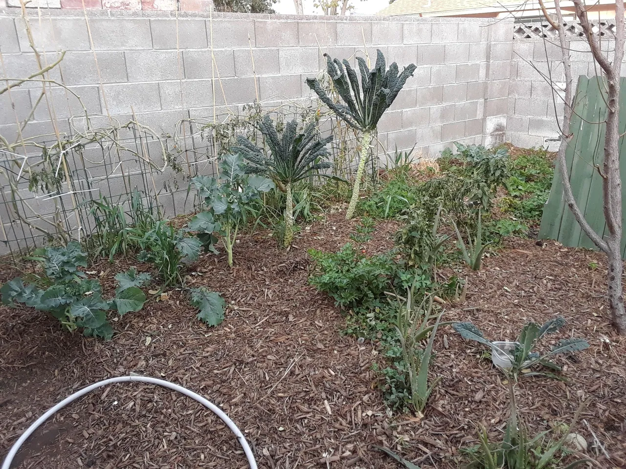 20171223_152140.jpg