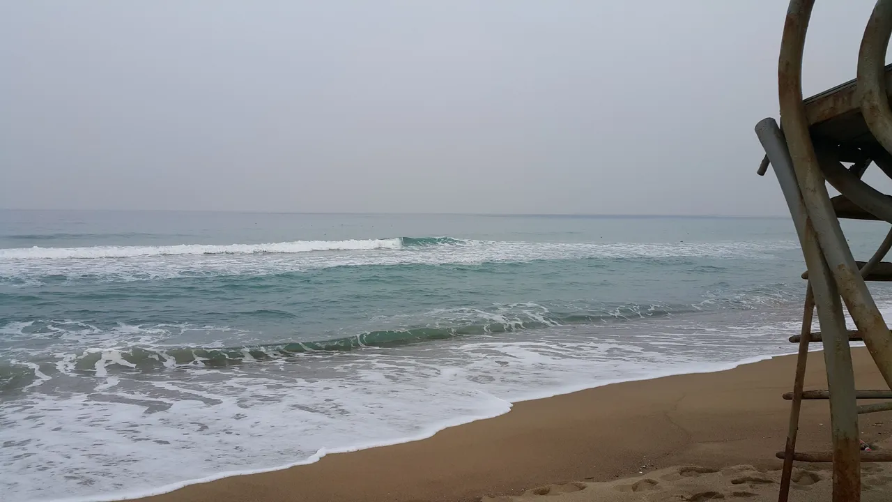 20180220_171055.jpg