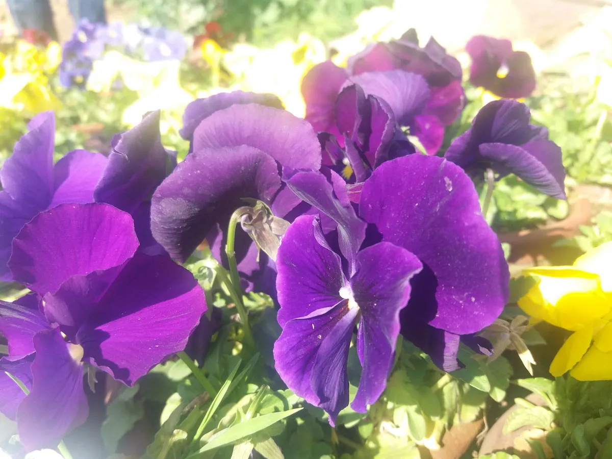 20180304_144504.jpg