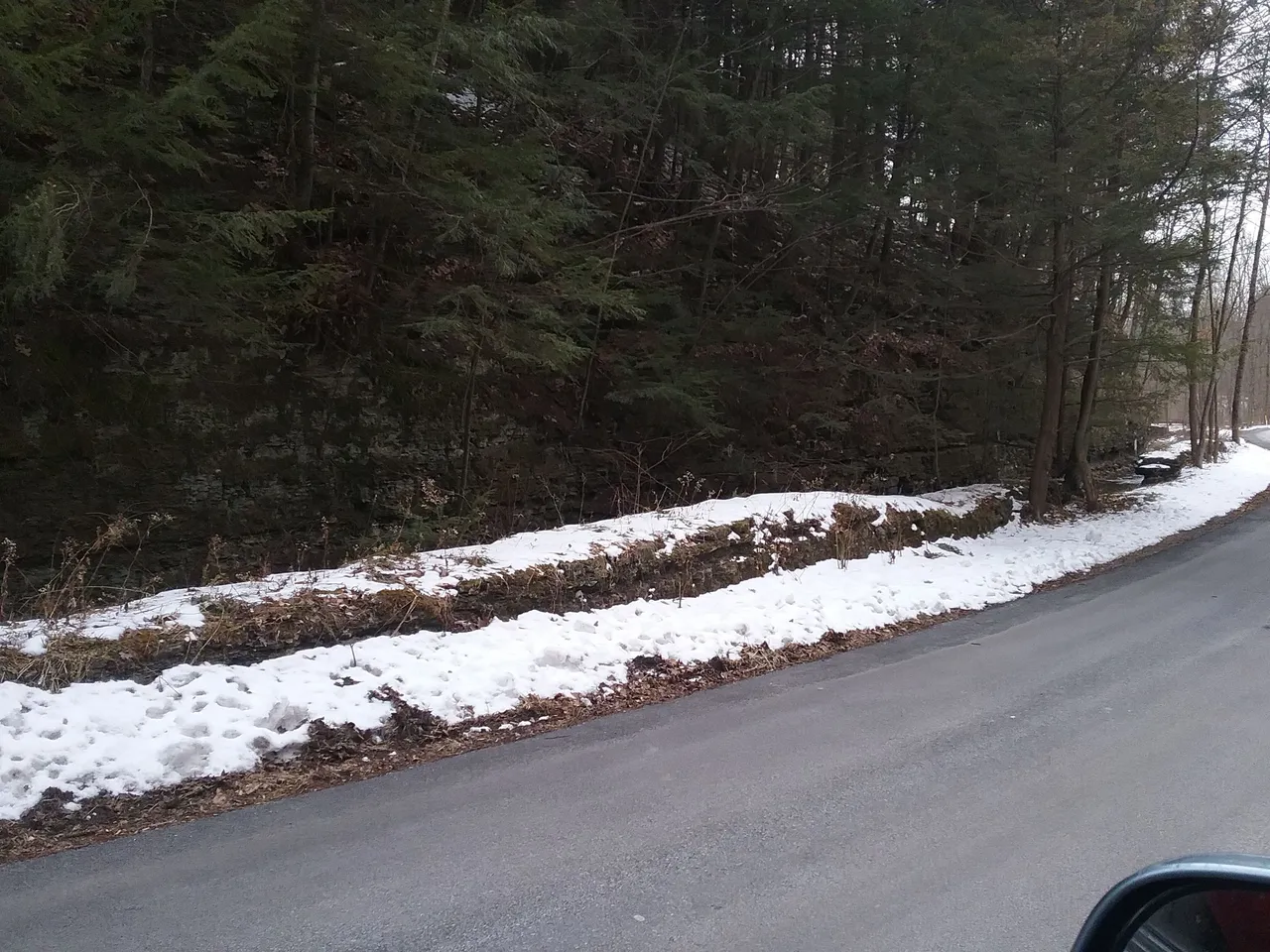 20180312_105810.jpg