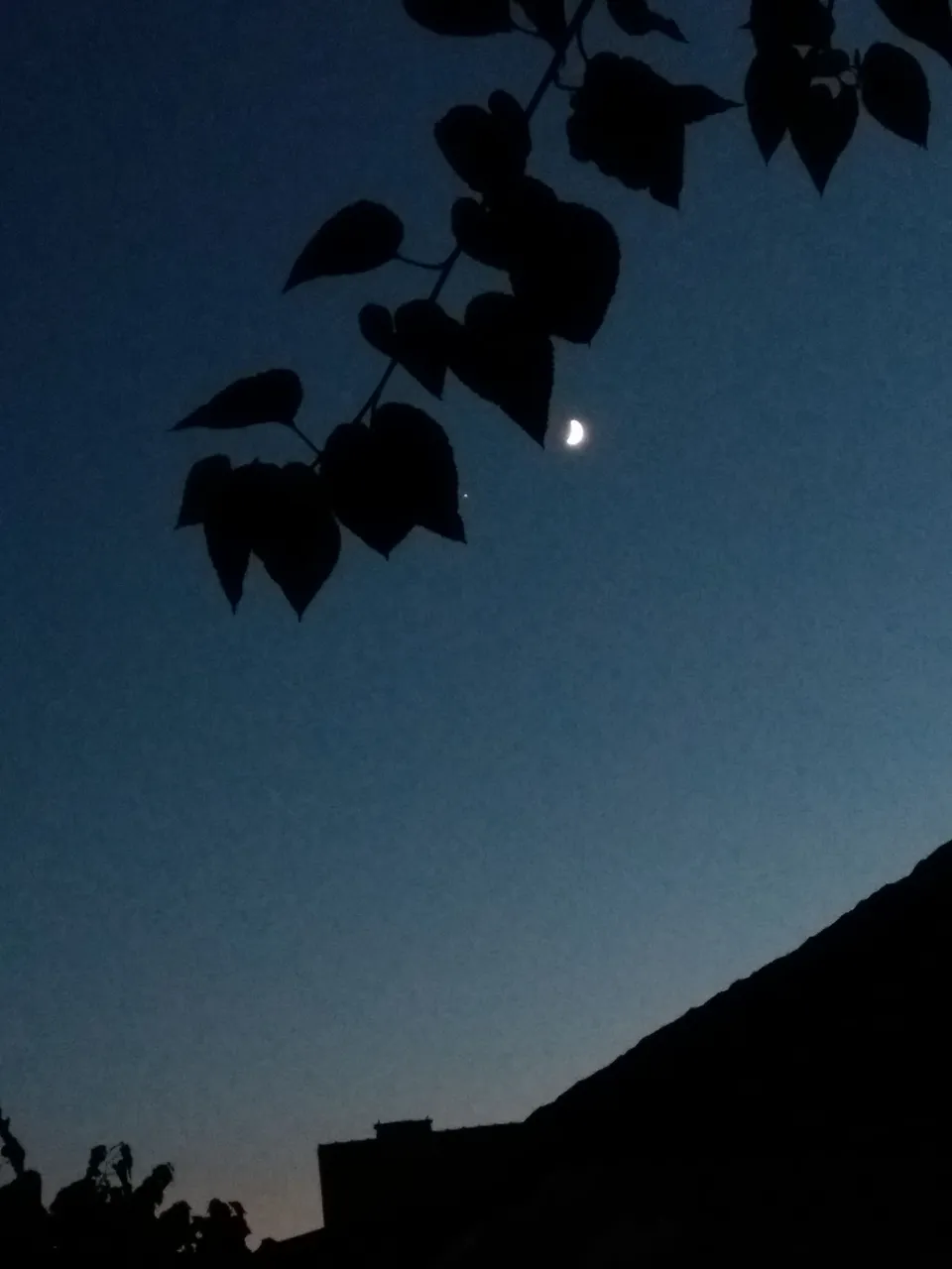20170728_203223.jpg