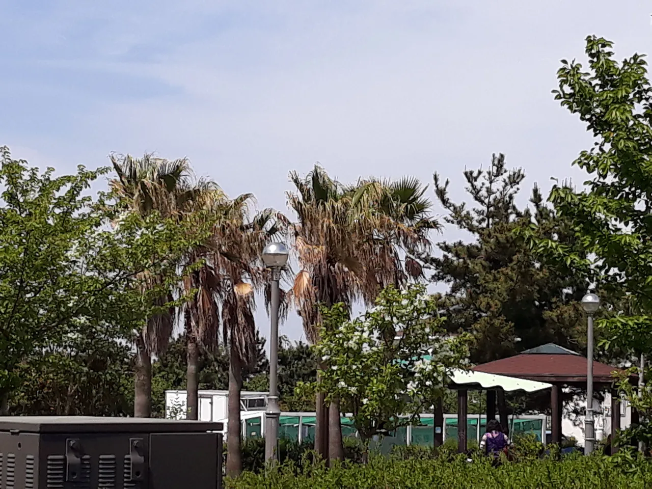 20180421_135341.jpg