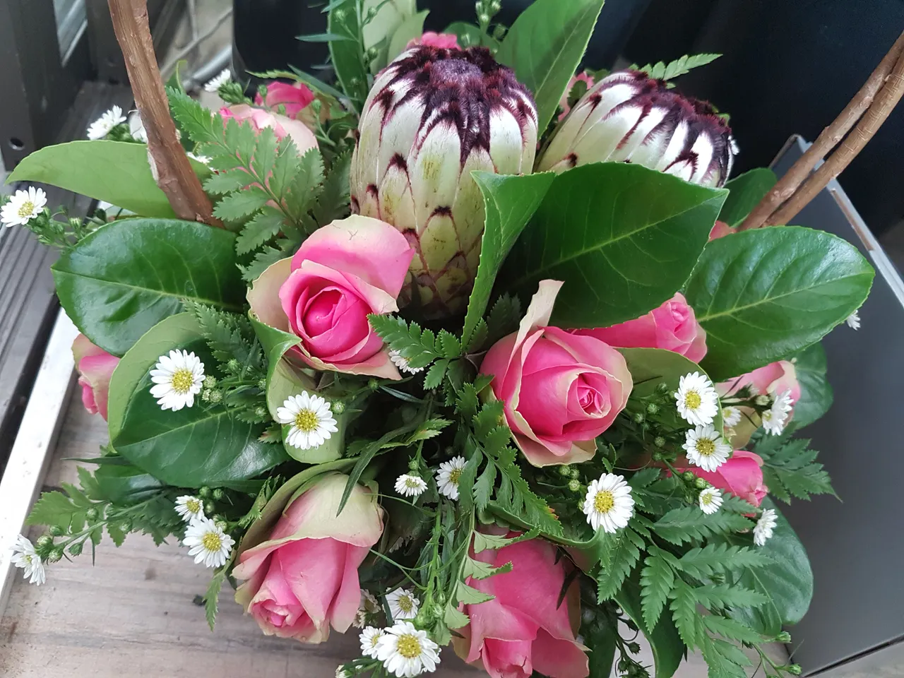 20170611_083231.jpg