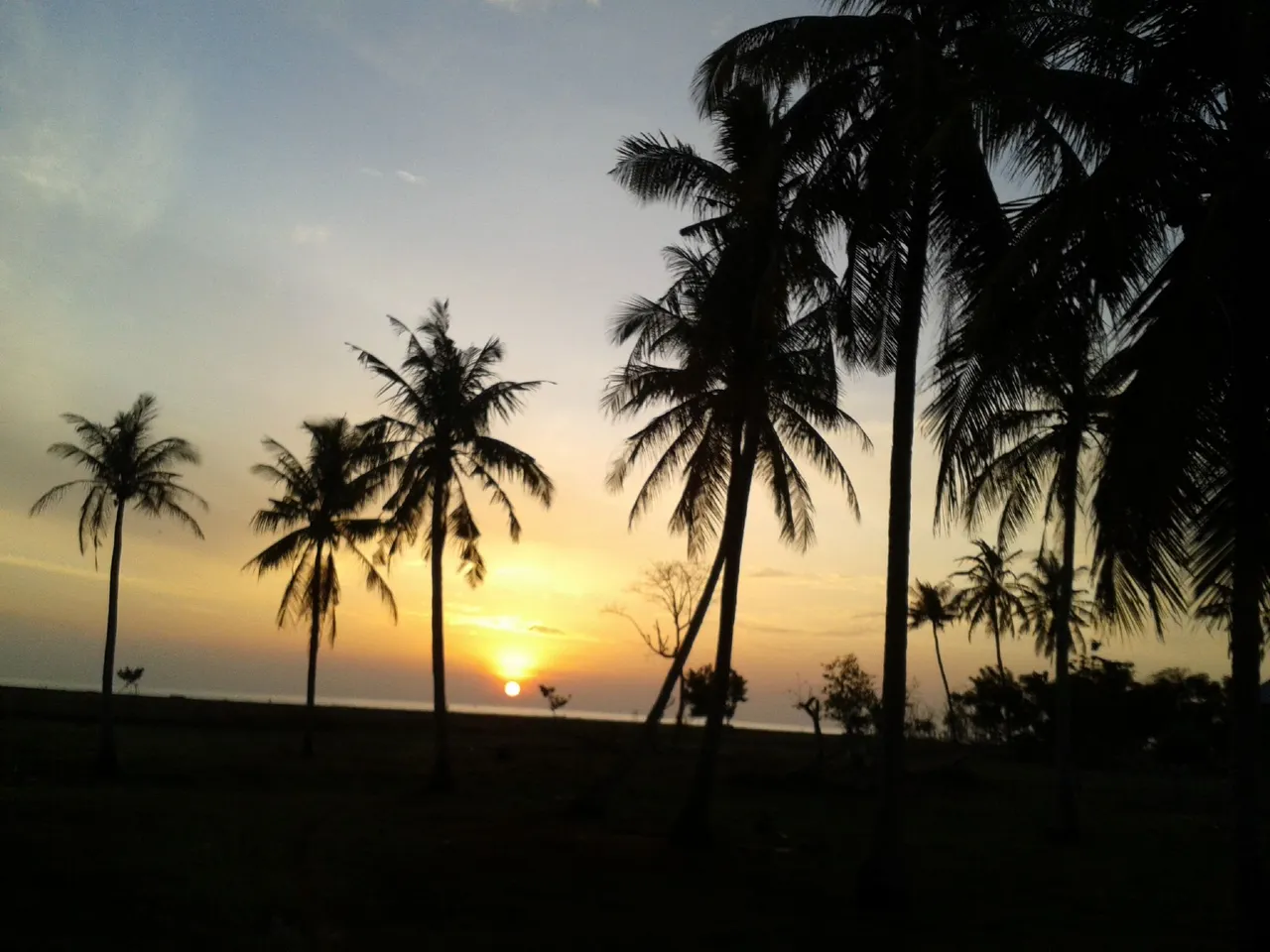 20140802_063657.jpg