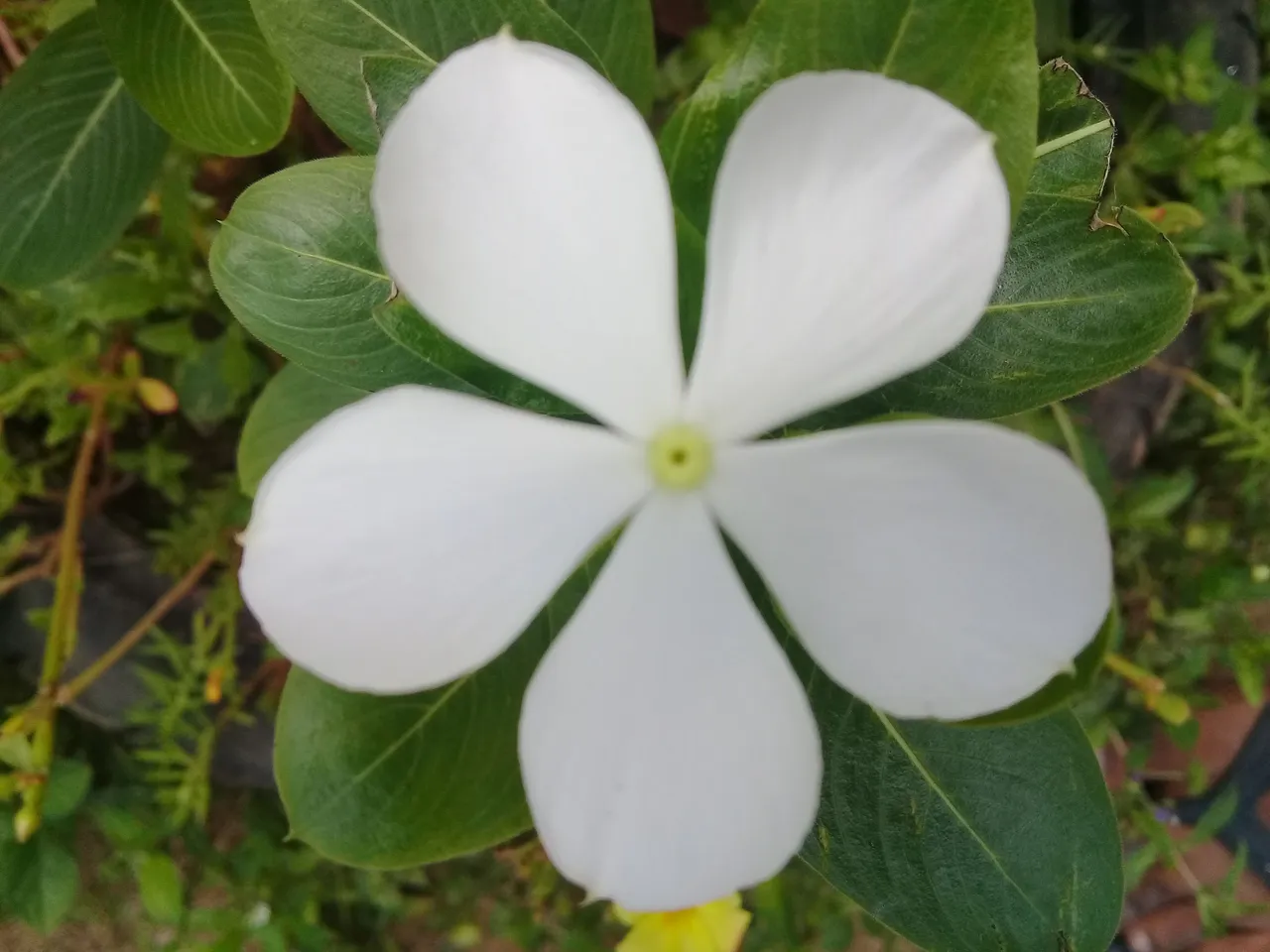 20180301_144936.jpg