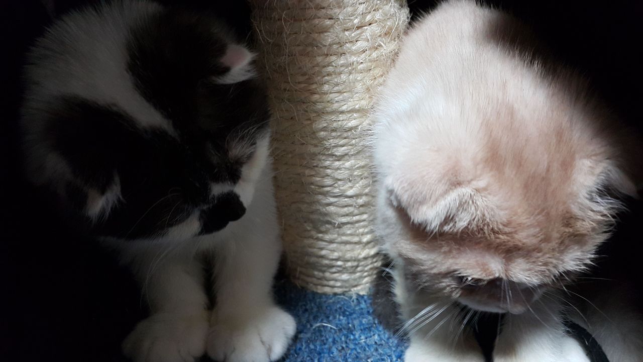 20180205_060514.jpg