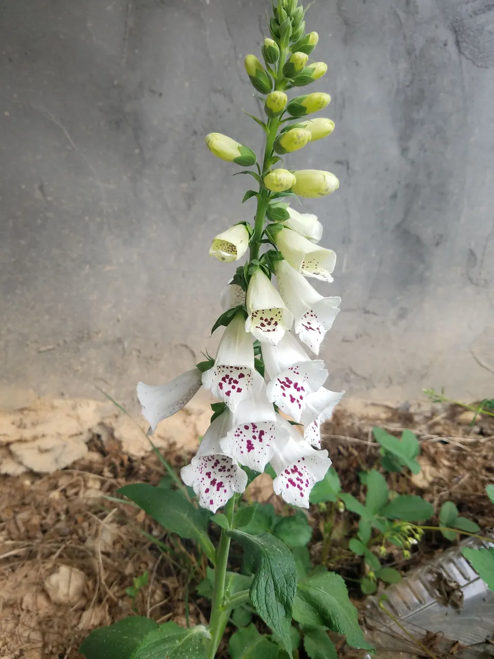 20180505_171022.jpg