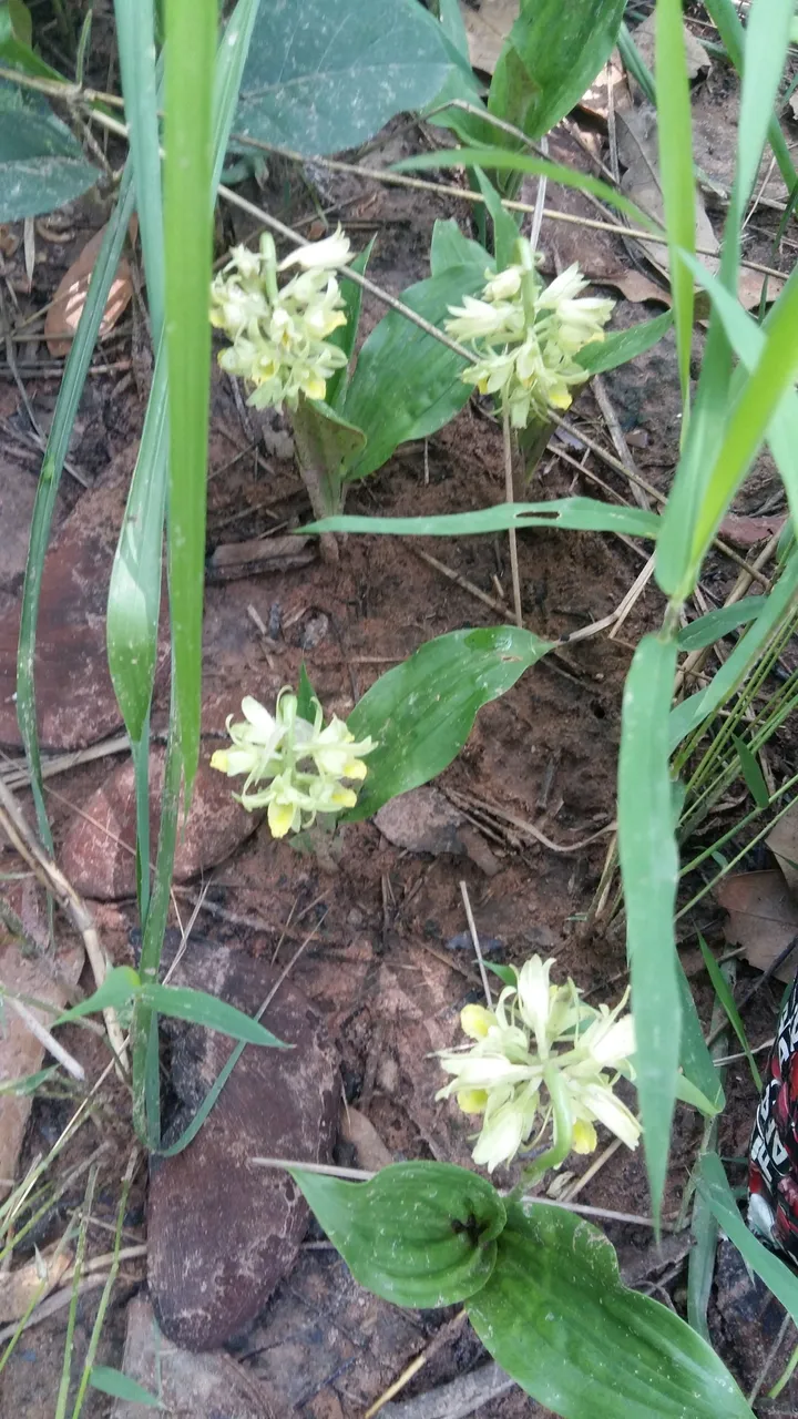 20180502_111218.jpg