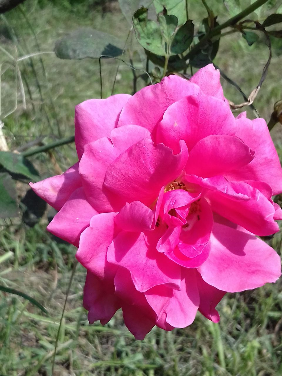 20180411_142637.jpg