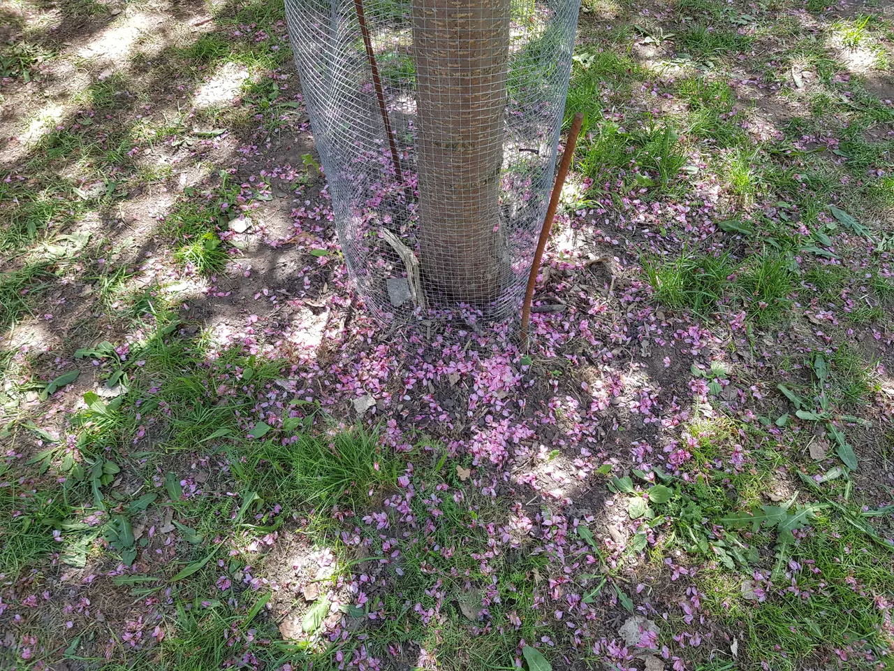 20180519_135621.jpg