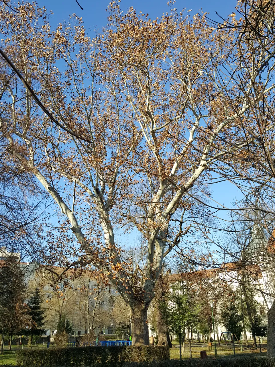 20171226_120012.jpg