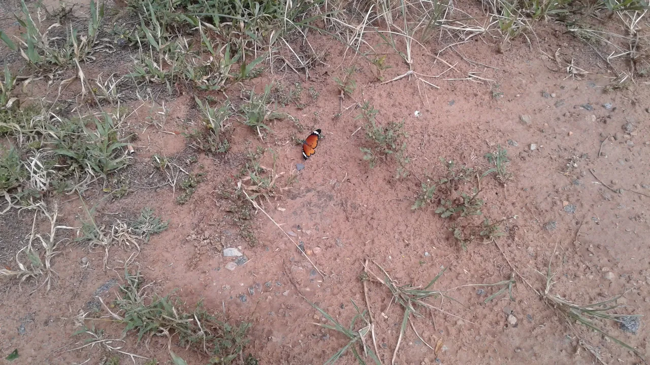 20180318_140112.jpg
