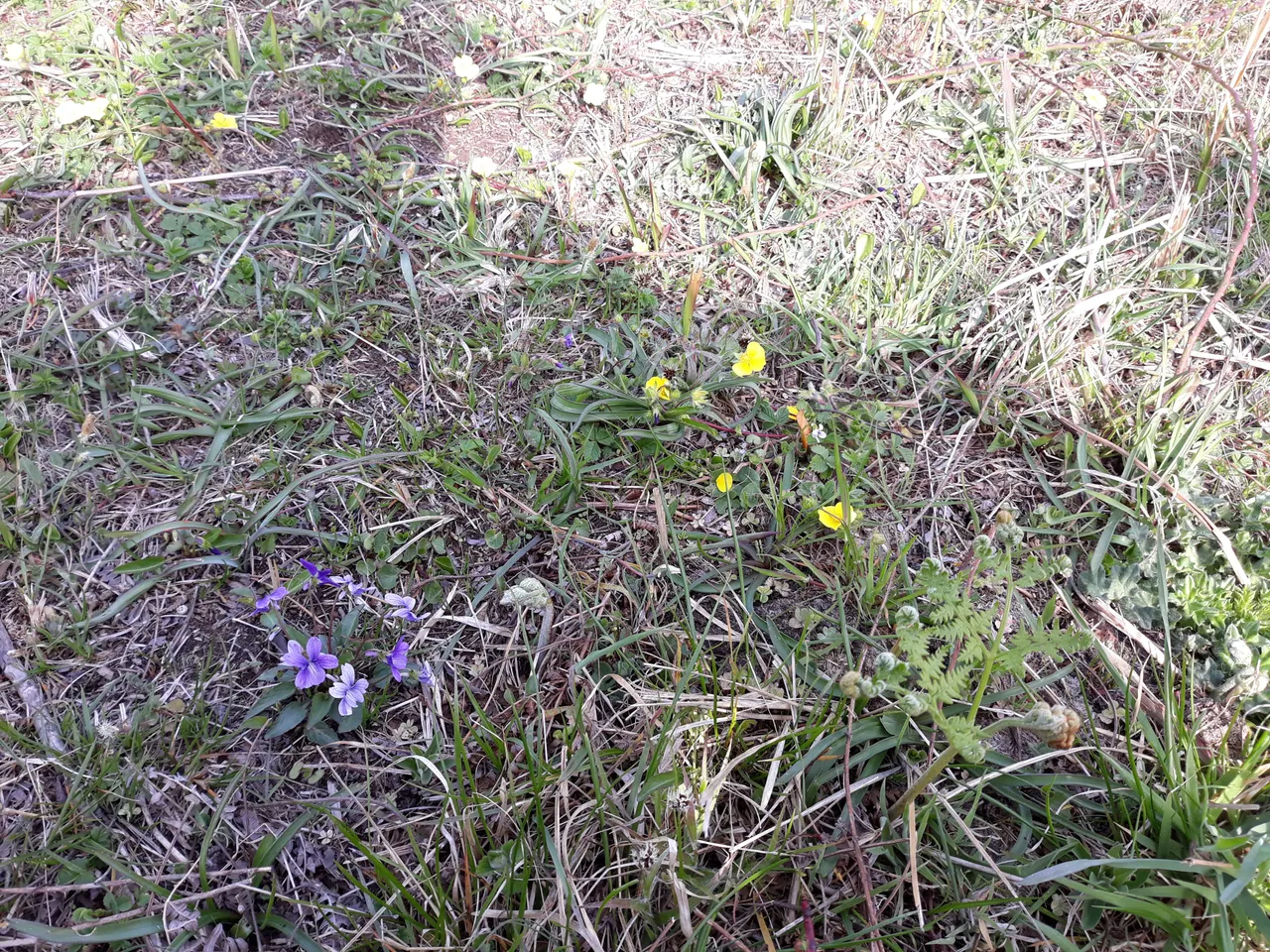 20180331_154952.jpg