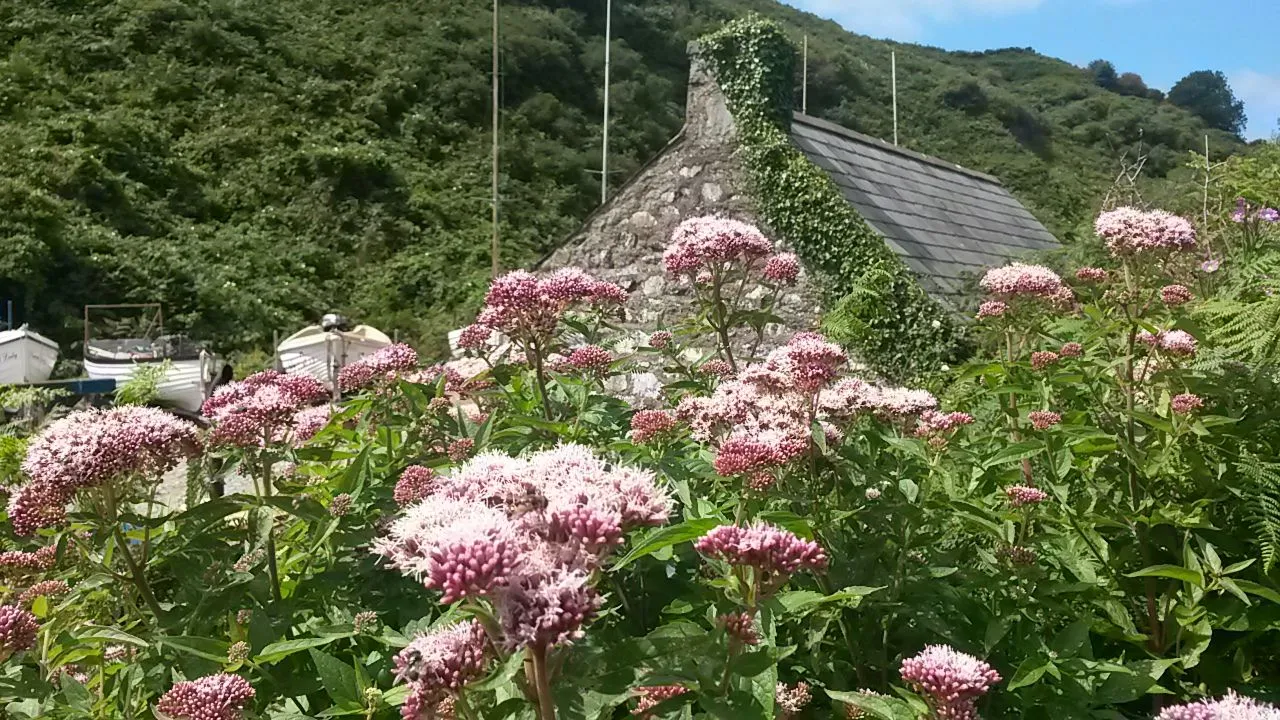 20170809_122522.jpg