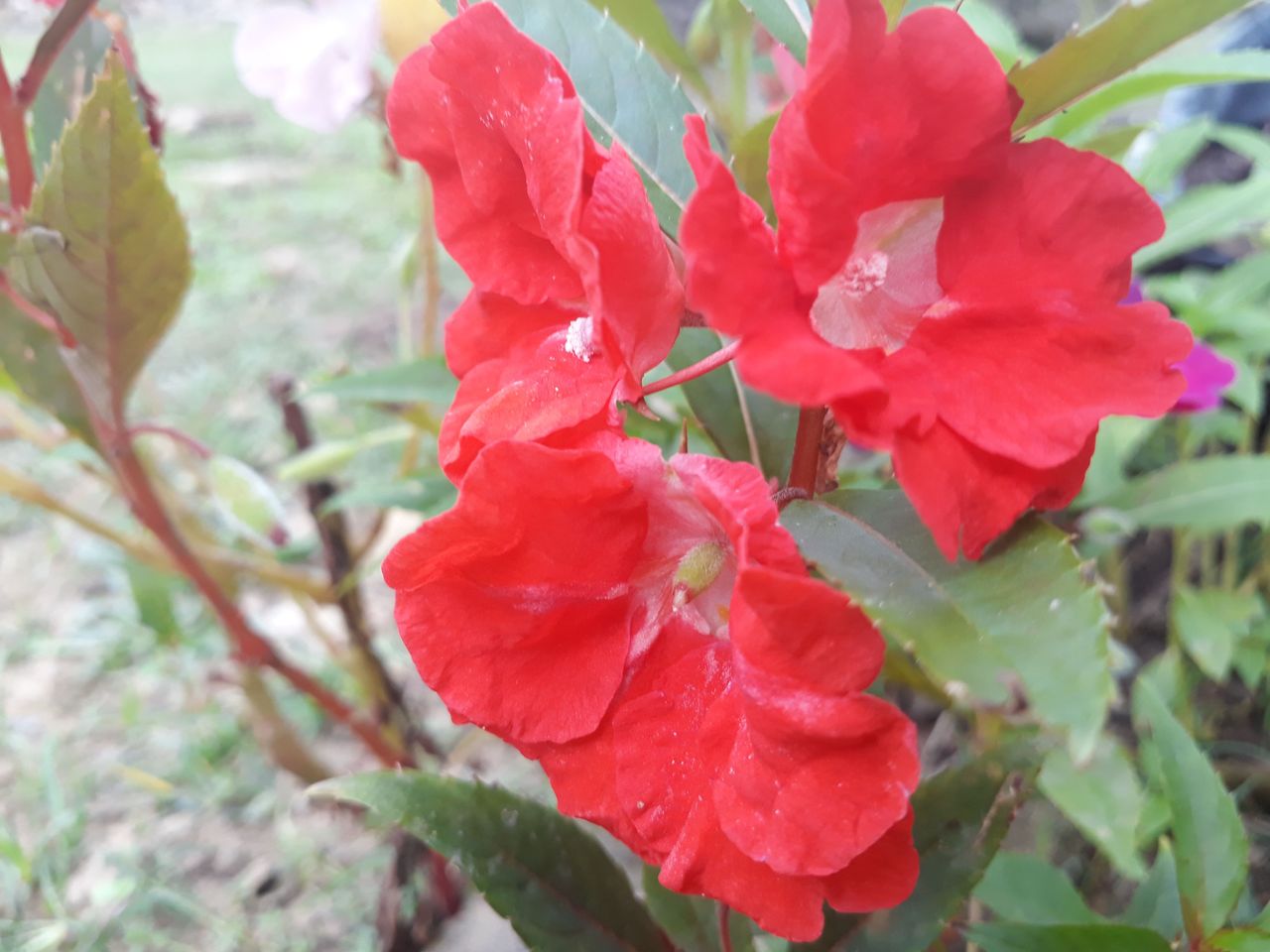 20180128_083627.jpg