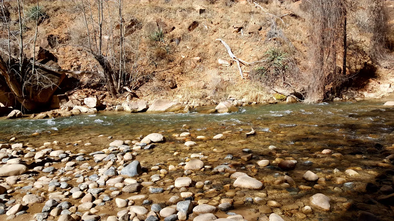 20180206_114247.jpg