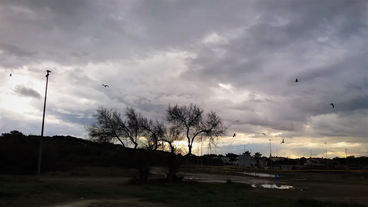 20180121_154854.jpg