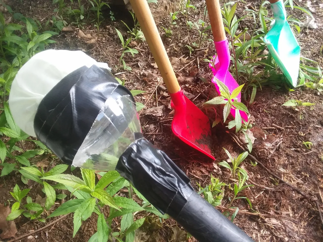 20180520_083235.jpg