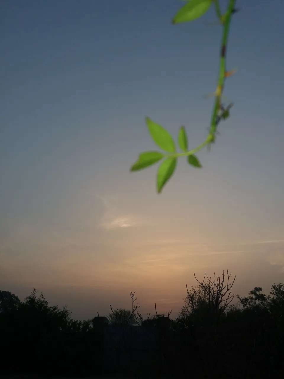 20180327_062154.jpg