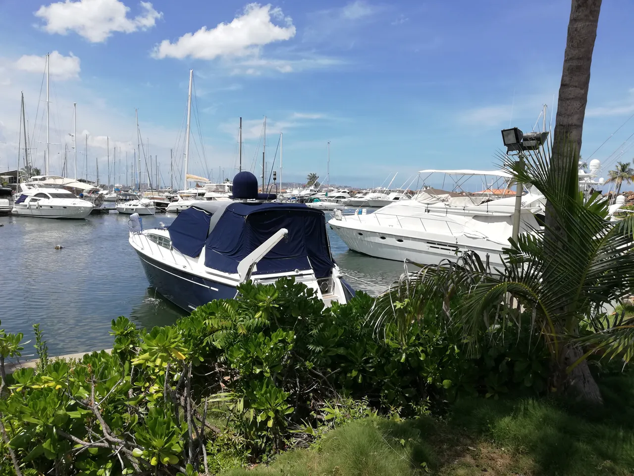 IMG_20181002_113012[1].jpg