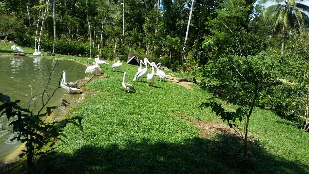 received_1670390329684400.jpeg
