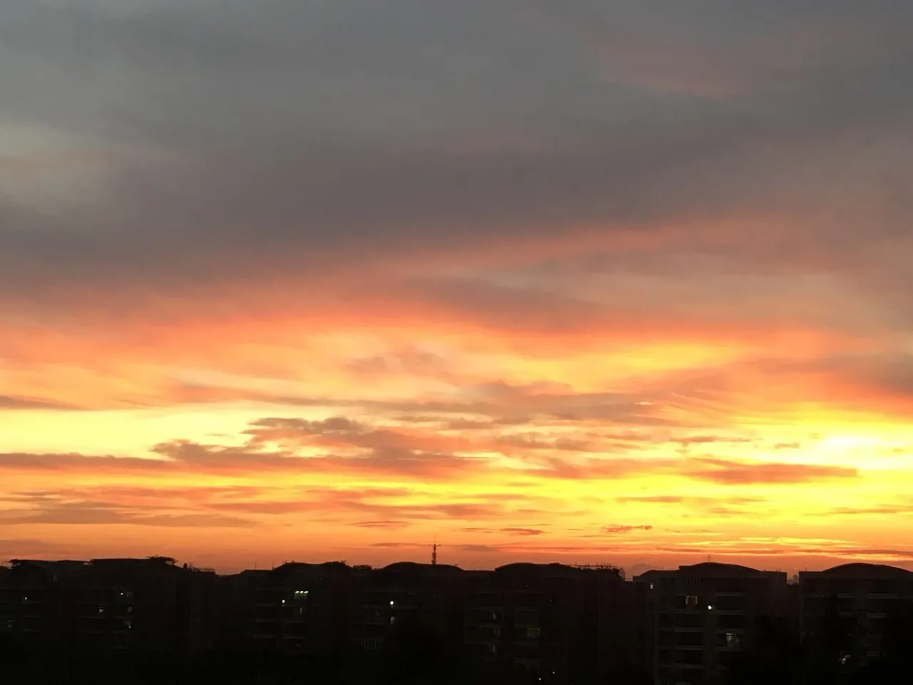 B38A8F5F-5CEB-497C-B17B-F899D6166973.jpeg