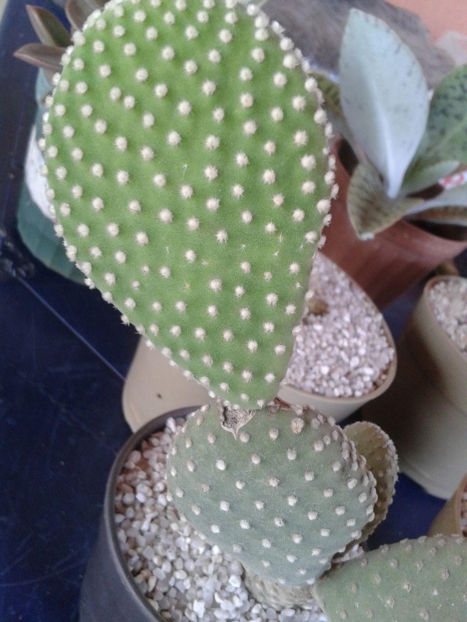 20200719_140408.jpg