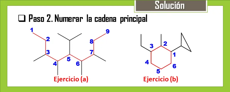 PASO2B.png