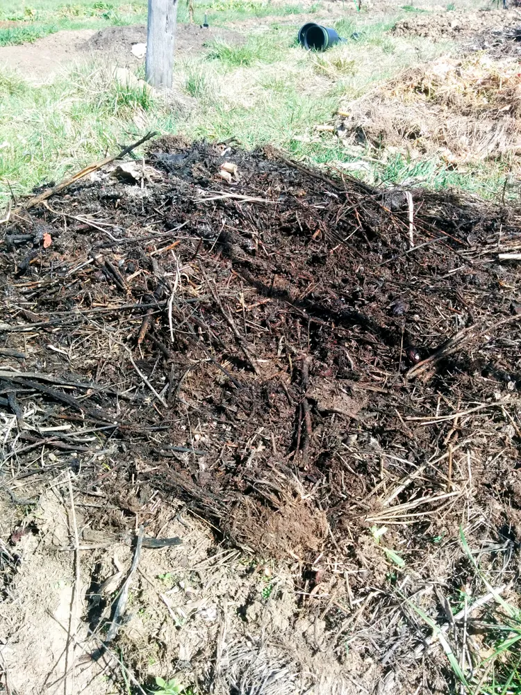 garden7.jpg