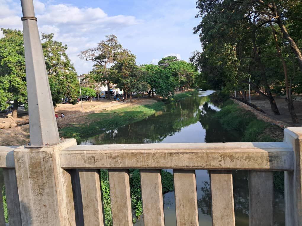 PASEO (8).jpeg