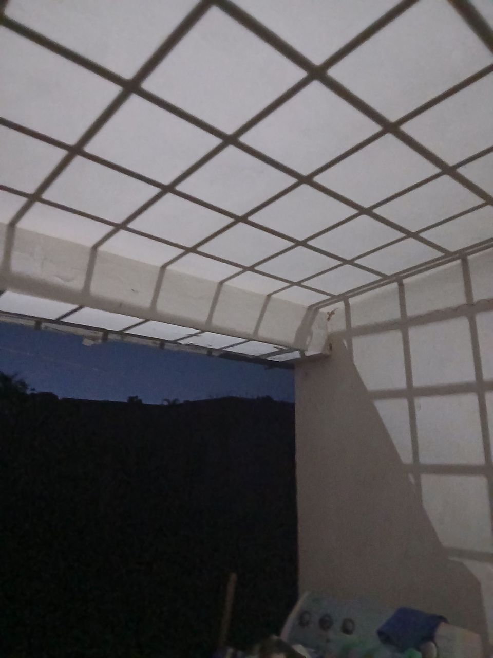 20260505_194549.jpg